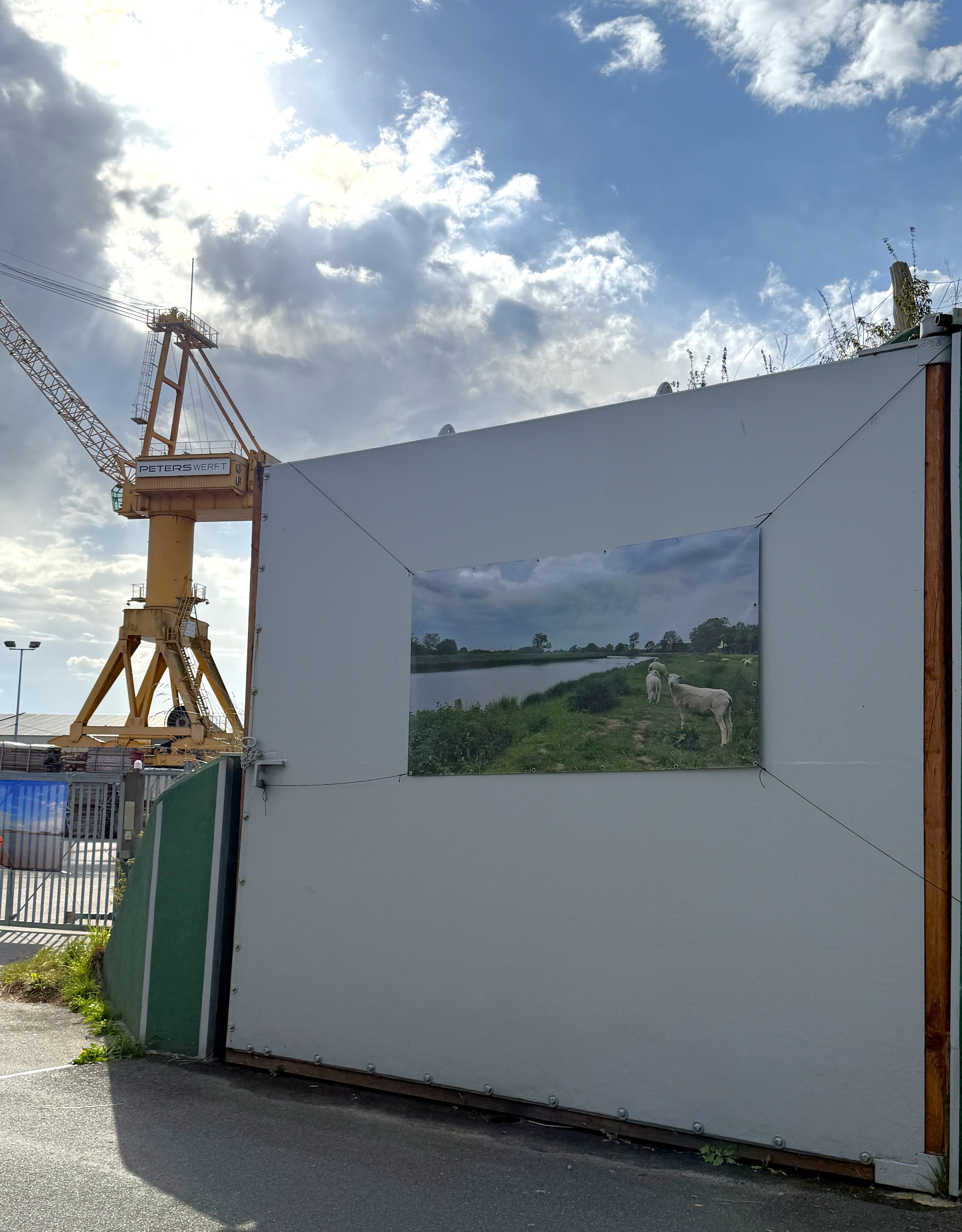 2025-Wasserimpressionen_zeigen_die_Schoenheiten_der_Wilstermarsch.jpeg