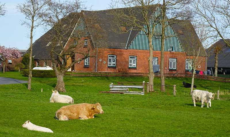 Bauernhof Beimgraben