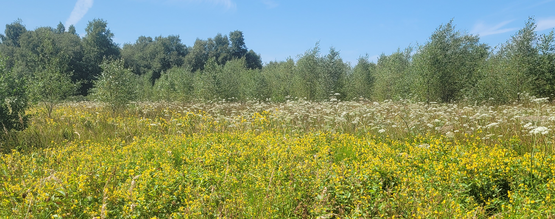Elredefleth / Tiefste Landstelle / Herrenmoor