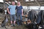 Das Landwirte-Ehepaar Starck in ihrem Kuhstall