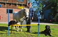 Neele Reimers mit einem Pony und einen Hund
