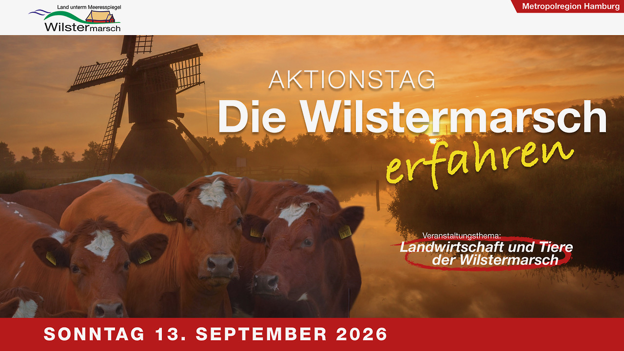 Platzhalter Bild