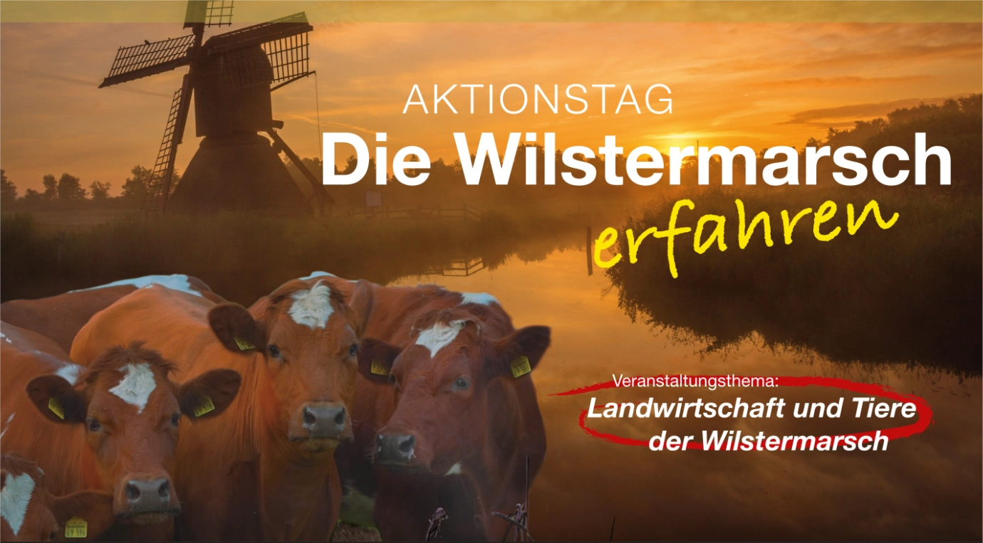 Headerbild Juni 2026