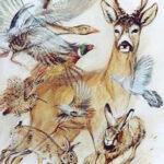 Jagd in der Wilstermarsch-db_Niederwild