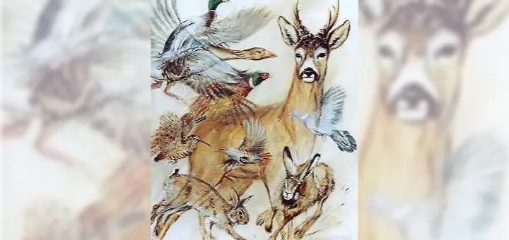 Jagd in der Wilstermarsch-db_Niederwild-720x340