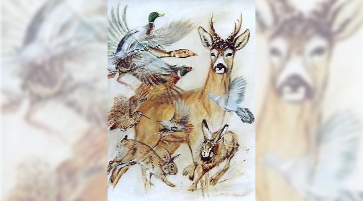 Jagd in der Wilstermarsch-db_Niederwild-720x340
